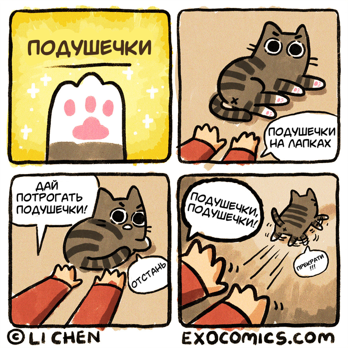  , Exocomics, , ,  , , ,  ,  