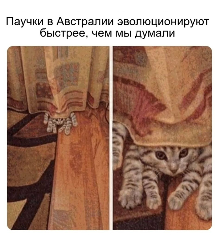   ))) , , , 