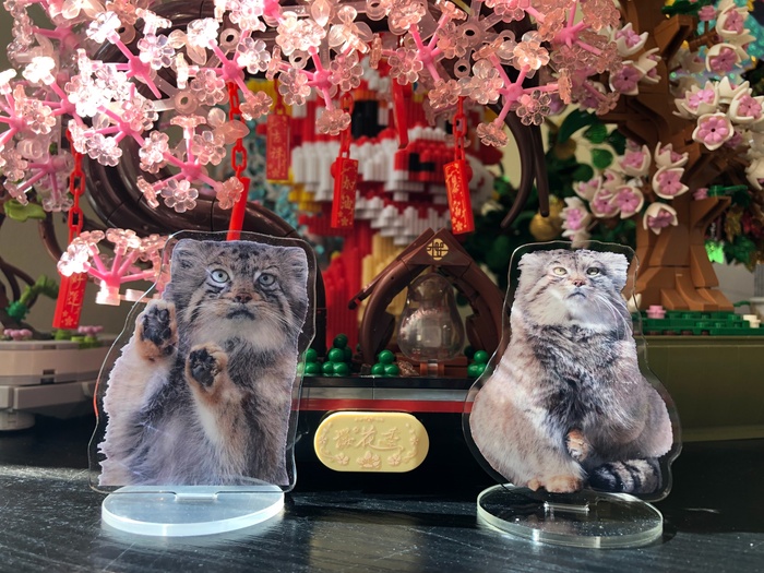   ˸      ,  ,  ,  ,  , , , , LEGO