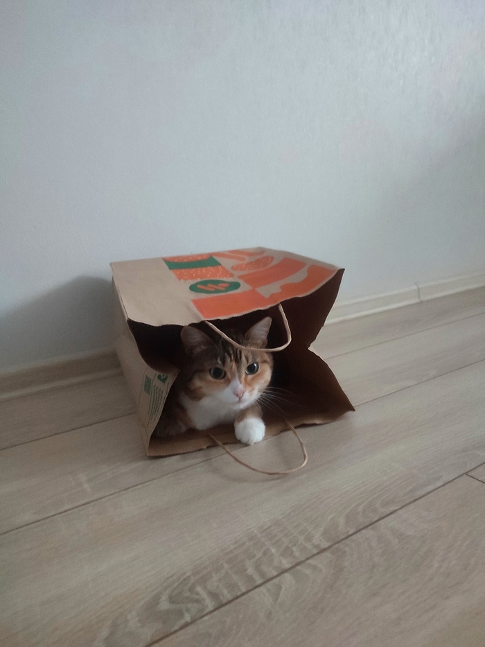     , , ,   