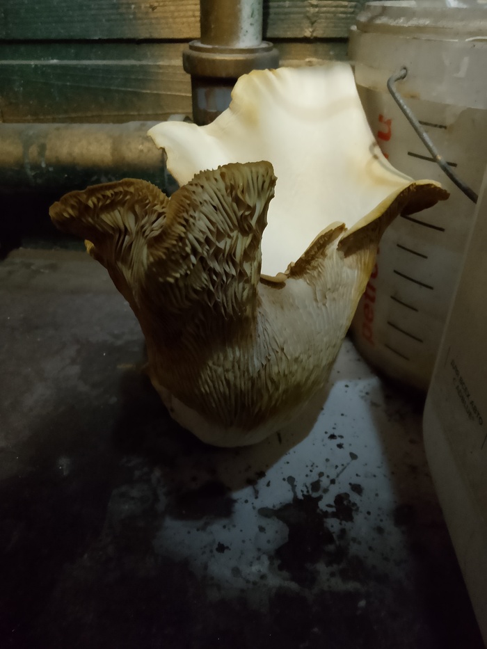    ? ,  , , , , , 