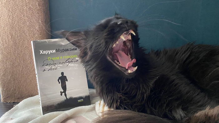 ",    ,   ,   ..", -      