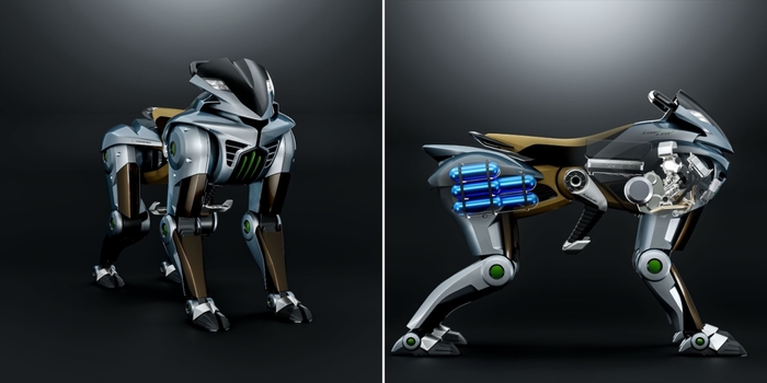 Kawasaki ����������� ����-���� - �� ��� ����� � ���������