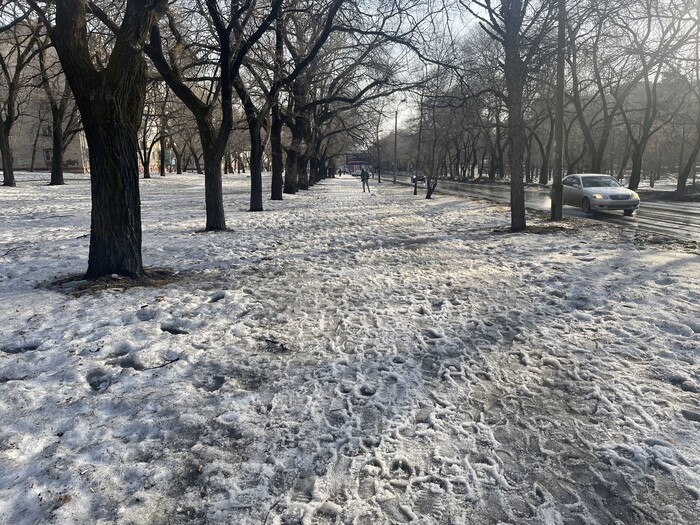 ���� ������� 5 ������