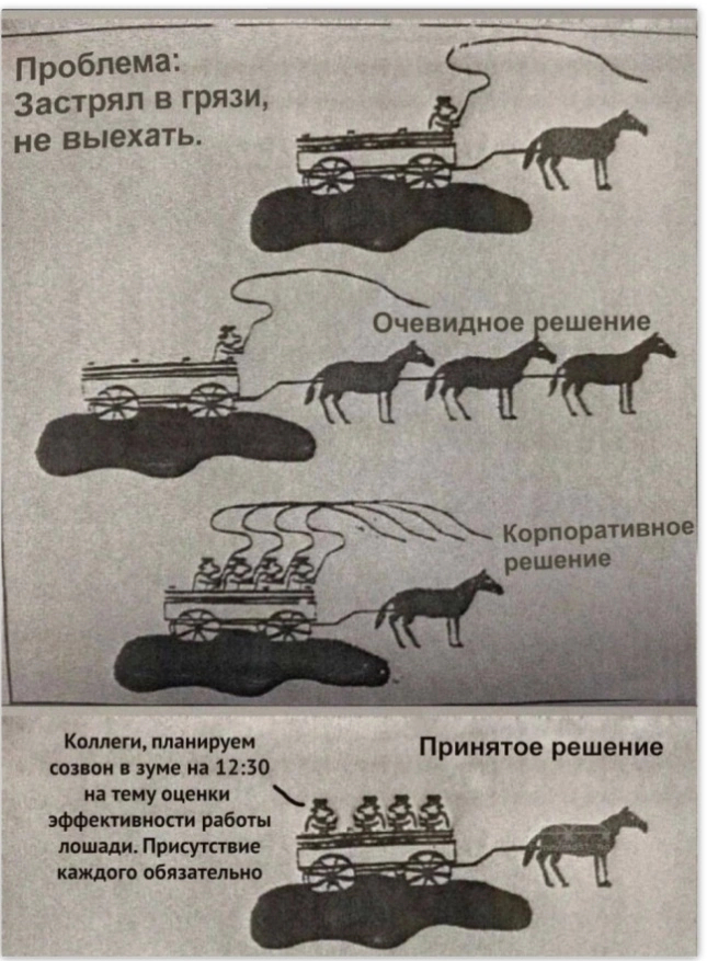     ,    ,  , , , , ,   , ,  ,  