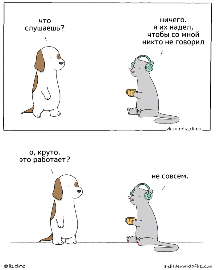  Lizclimo, ,  , , , Telegram (),  ()