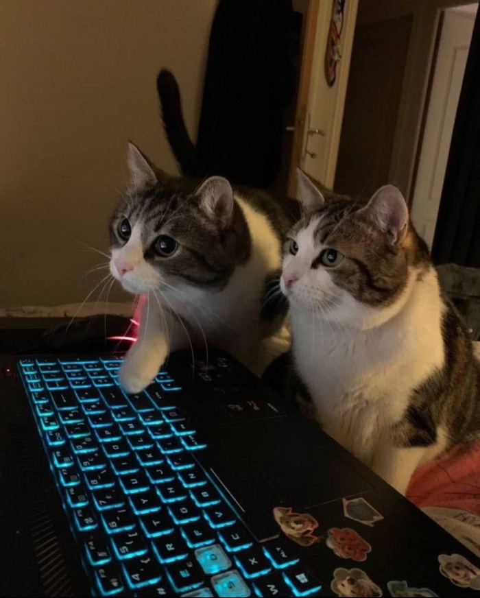 Работнички