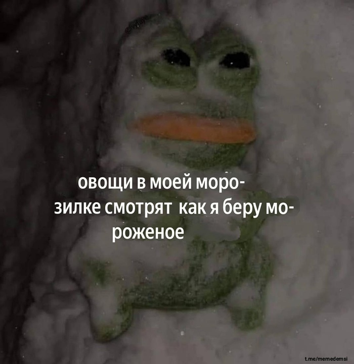     ,   , , , , , Telegram ()
