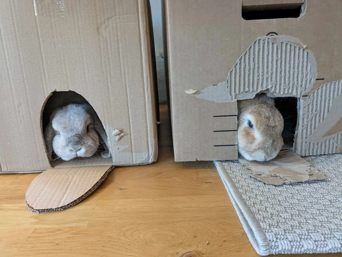    , ,  ,  