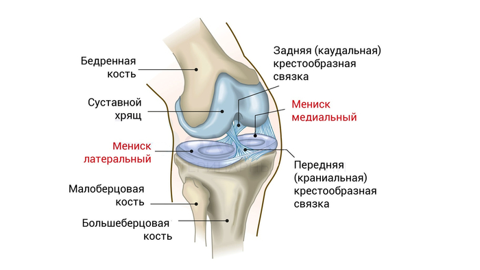 ����������� � ��������������� ����������� ������ �������