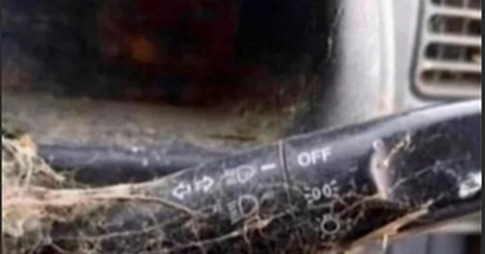 Юмор в тренде пикабу