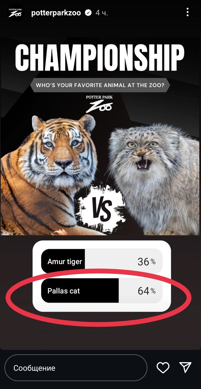 Скрин из Инстаграм