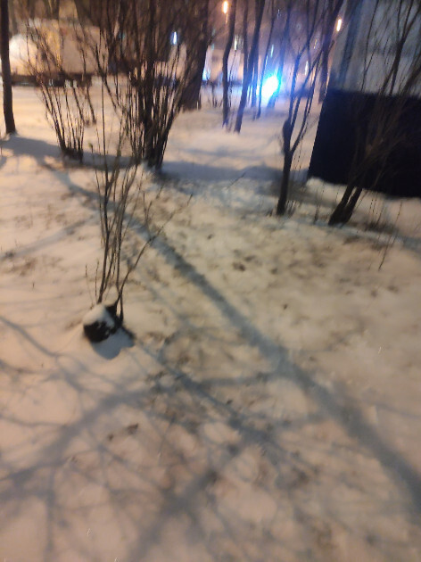 ������ ������ � ����!!!