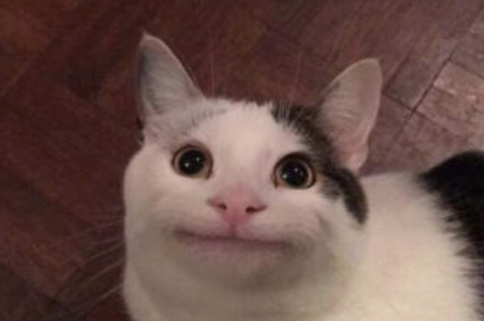    ,  , ,  , , , 