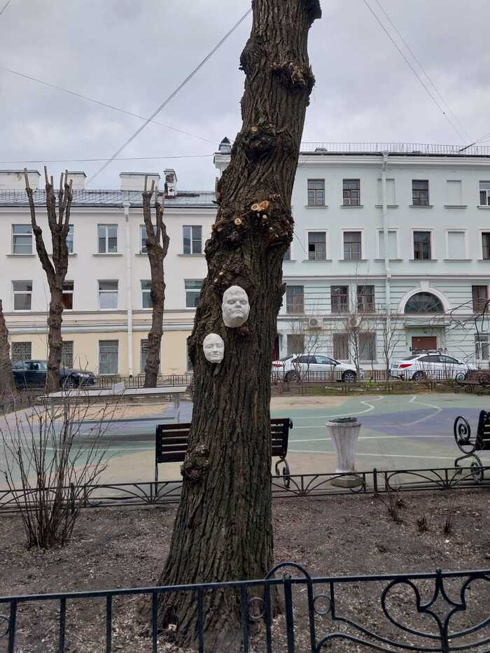 ��������� ����