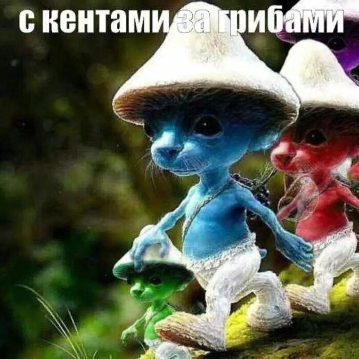     ? , ,   , 