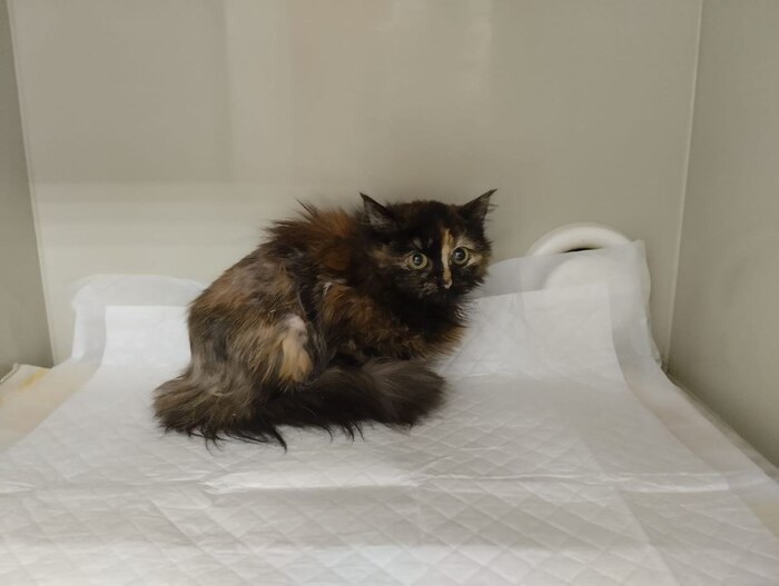 ���� � �������