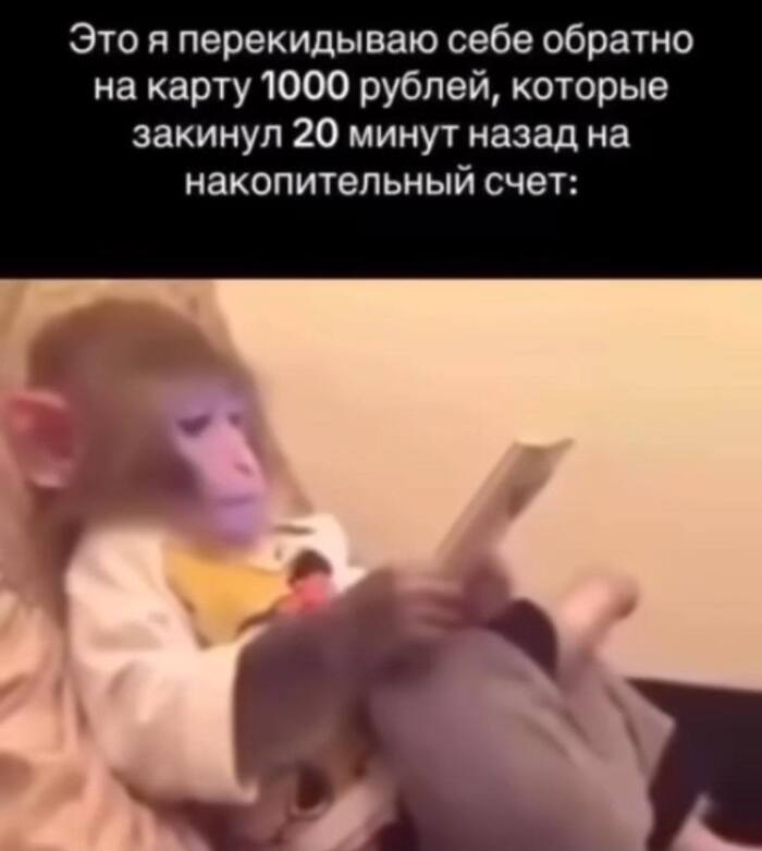  ,     ,   , ,  ,  , 
