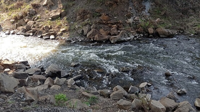 ������������� ����� ������ ���� ������. ����: ���� ��������