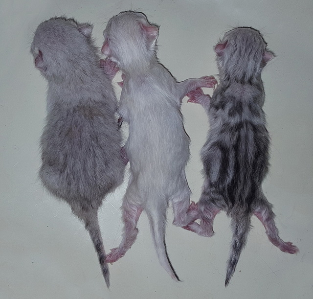   -  .  -  ,  -  .    - -    ,    .