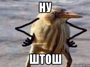 Avito ������ ������. �� ������!