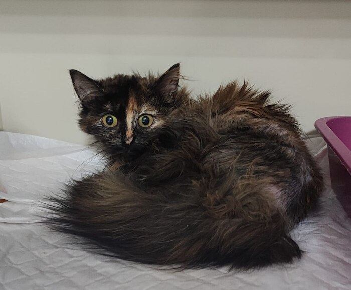 ���� � �������