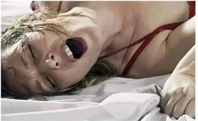    , , ,  ,  , 