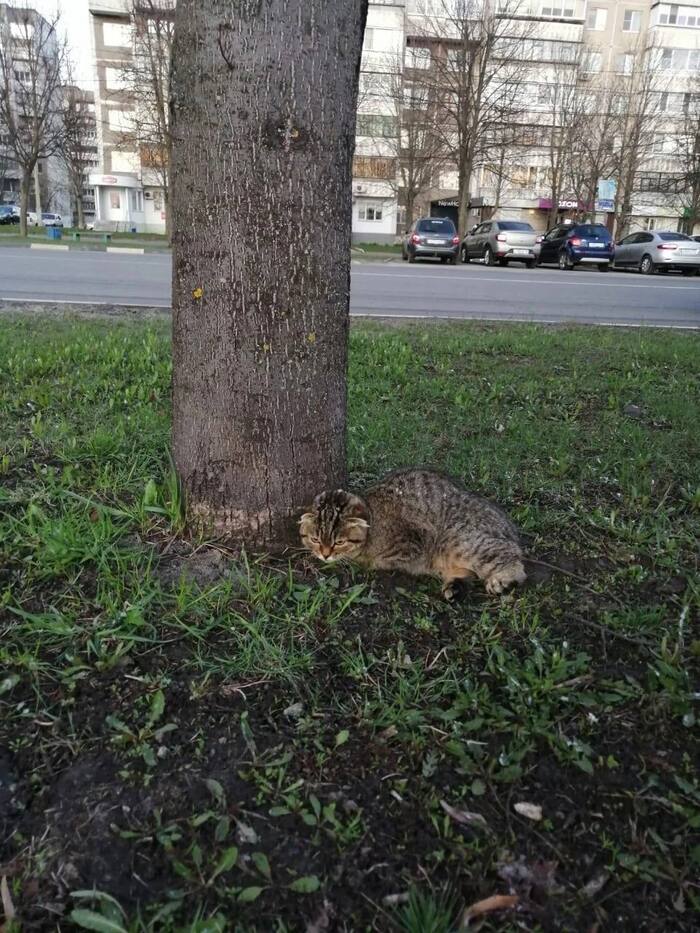       ...  , ,   , ,  ,  , , 