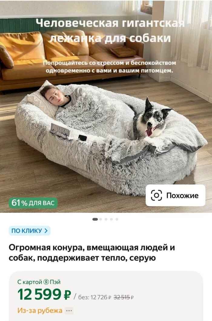 ������� ������ ���� ������