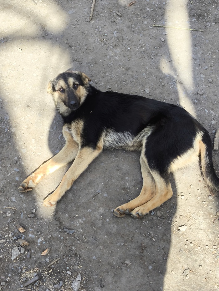 ������ �����