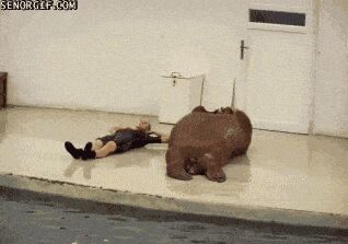     ,   , , , 