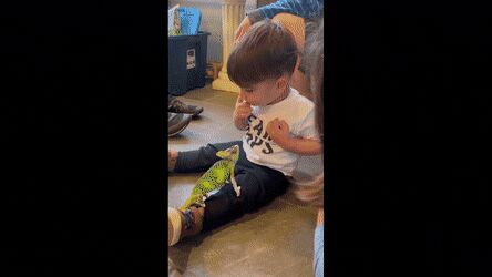     ,   , , , 