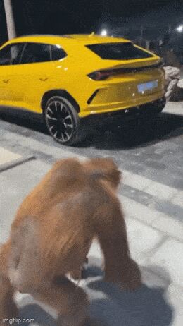     ,   , , , 