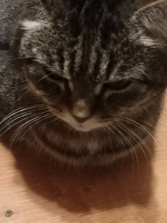      , , ,   