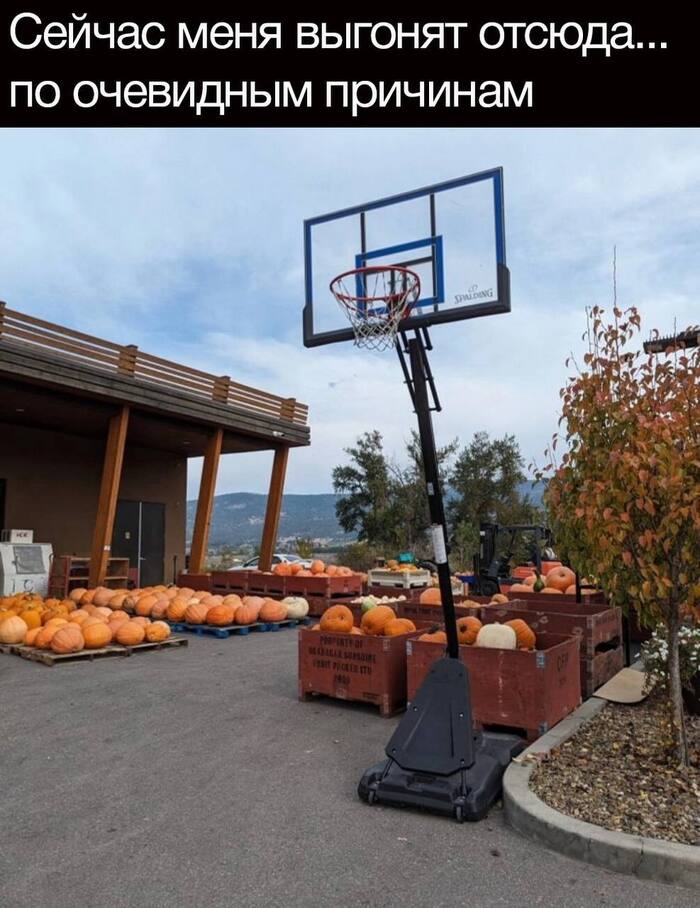           , , , , 
