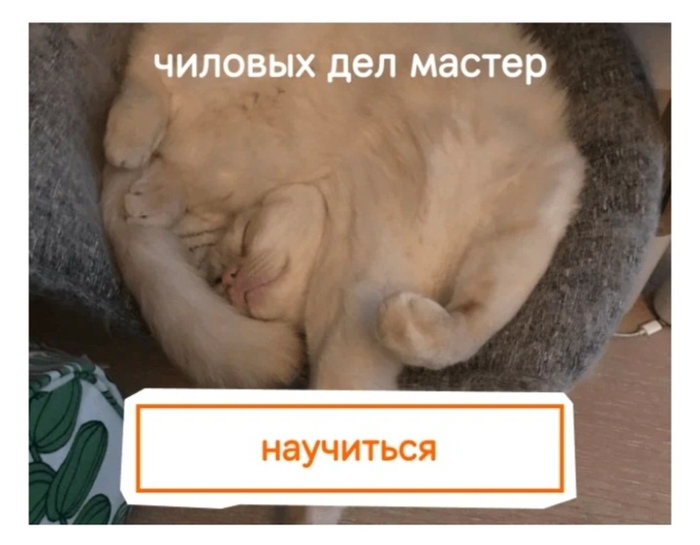   , !  , , 