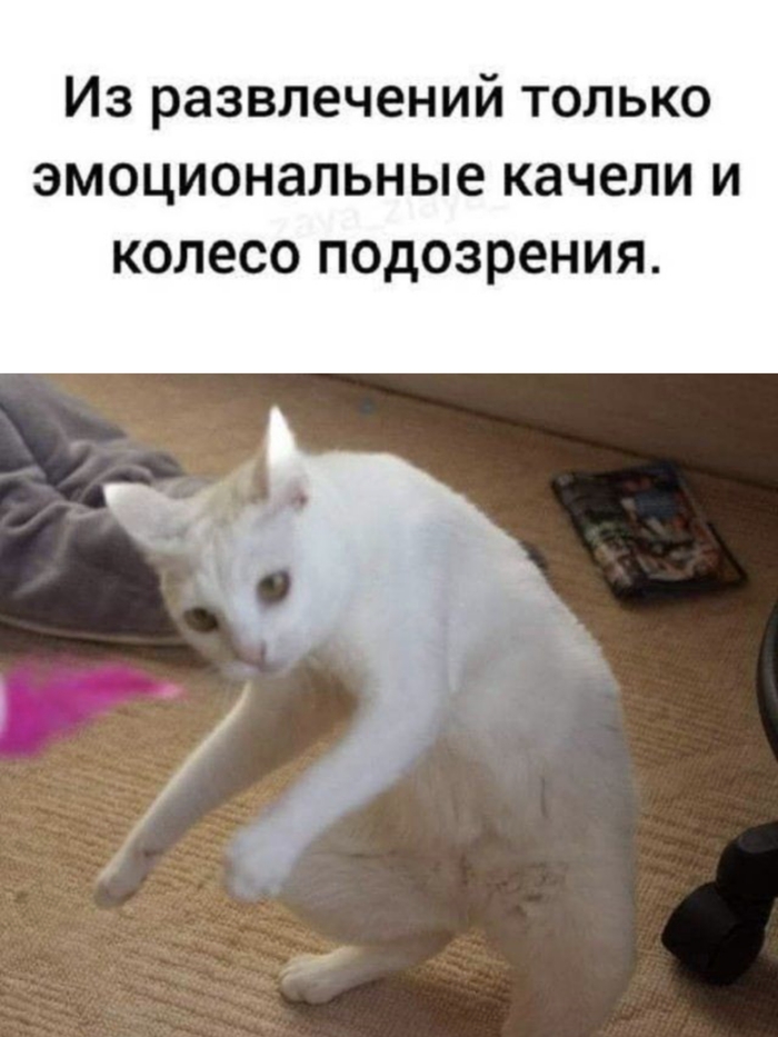     ,  , ,  , , ,  , ,   , , ,  ,  ,   , , , 