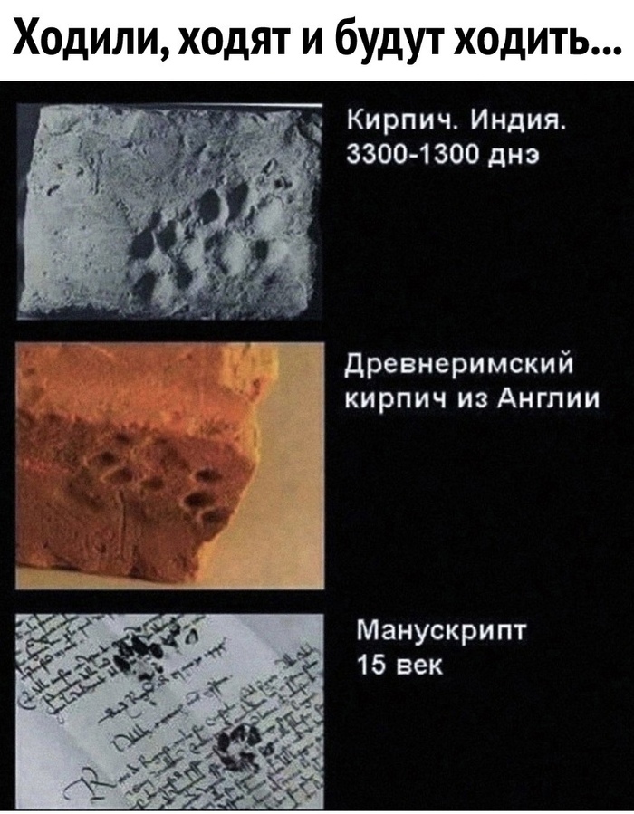      ,   , ,  