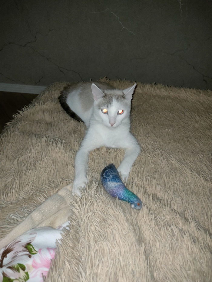   , ,  , , 