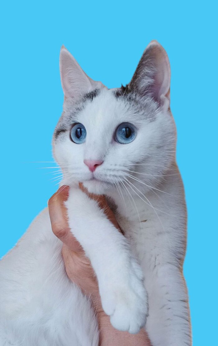         , ,  , , ,  ,  , , , 