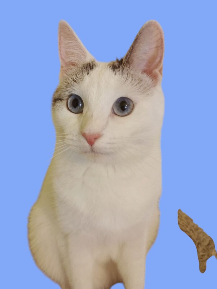        , ,  , , ,  ,  , , , 