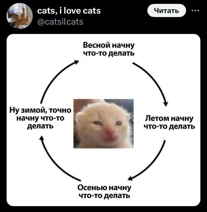   ? , ,   ,  , , , , , , , , X (Twitter)