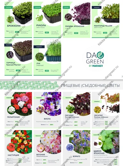Where to look for customers to sell greens, salad microgreens, herbs and edible flowers. Who to sell to, what is the cost price and markup - Hydroponics, Telegram (link), Longpost, Salad, Greenery, Plant growing, Vertical Truss, Spices, Microgreens, Production