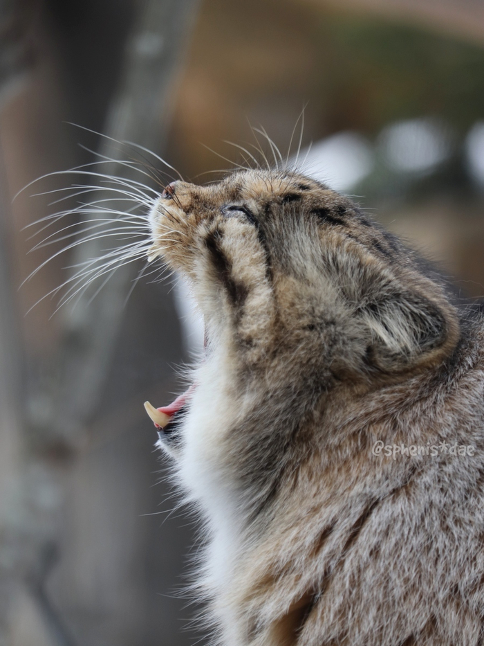 Всем тусиииить!!!!