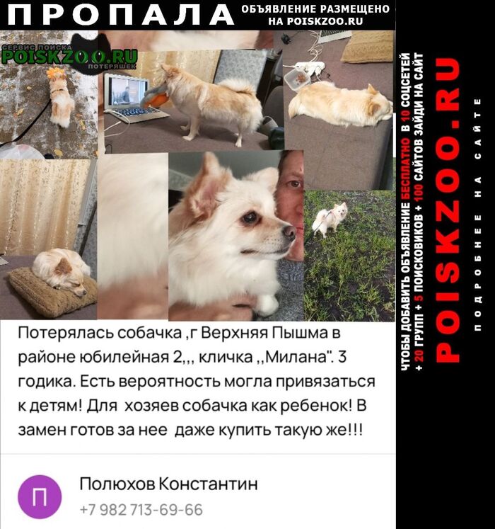    ,  , , , , , , , ,   