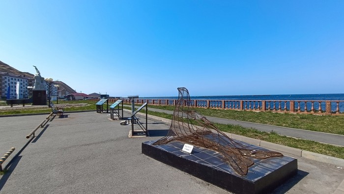 Четвертый сивуч по пути (мы считаем).