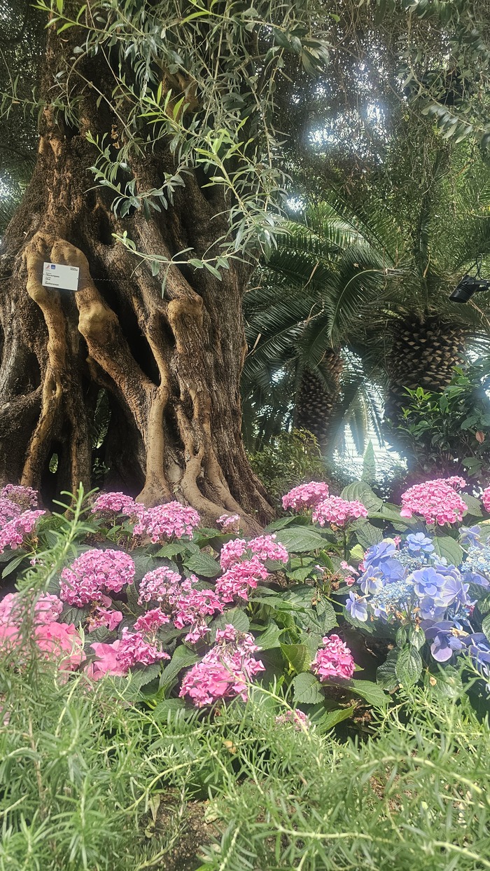 Gardens by the Bay - ������� ������������ ��� � ��������� � ���������� �� ����� �����