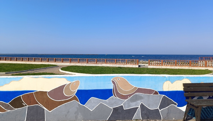 Третья парочка сивучей нарисована на парапете.