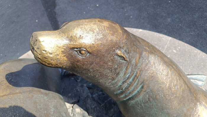 Сколько чаяний и надежд были натерты об этот нос.