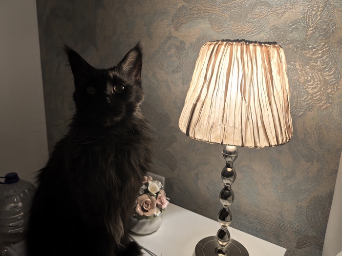 ������������ ����